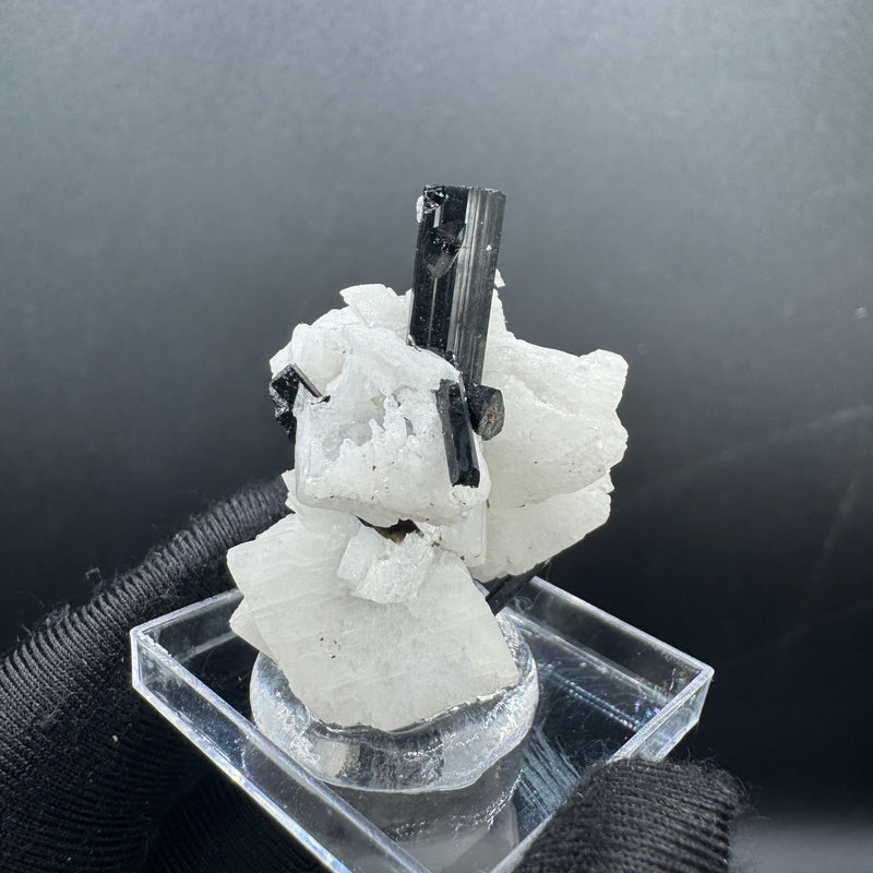 Black Tourmaline - 12g