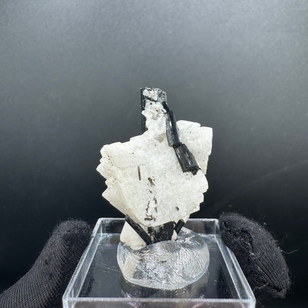 Black Tourmaline - 12g