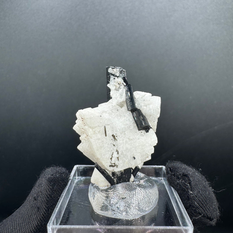 Black Tourmaline - 12g