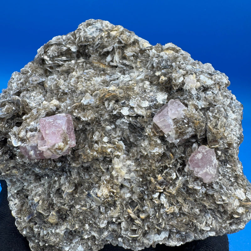 Pink Appetite Specimen - 424g