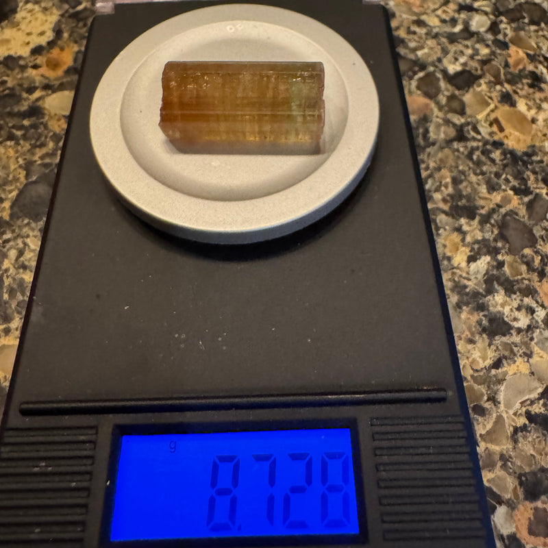 Watermelon Tourmaline Crystal - 8.712g