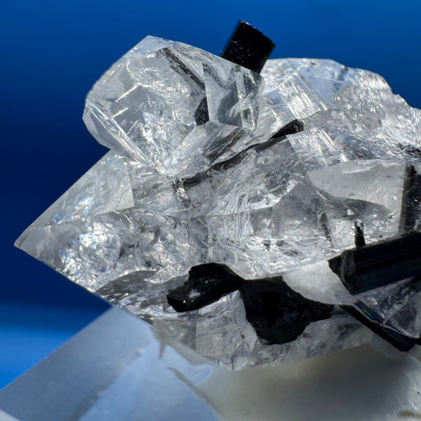Black Tourmaline & Quartz Specimen - 39g