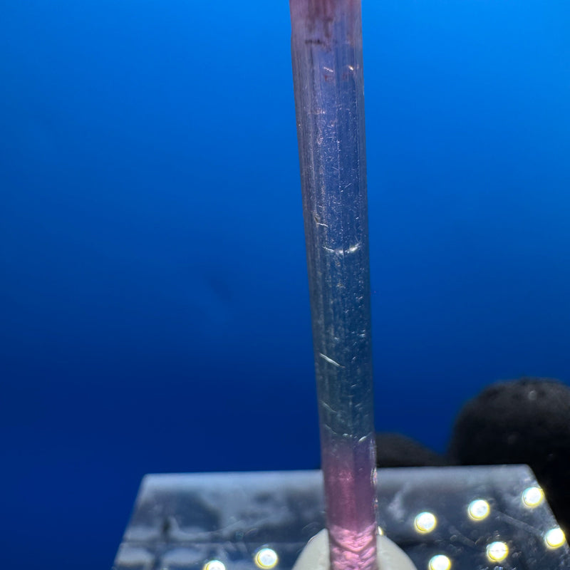 Tourmaline Crystal - 2g