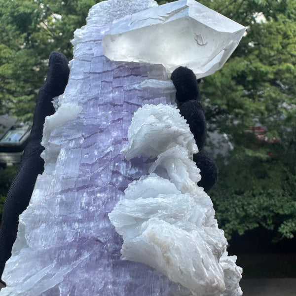 Kunzite Specimen - 2004g