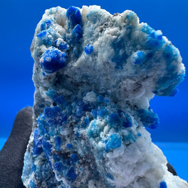 Sodalite Specimen - 312g