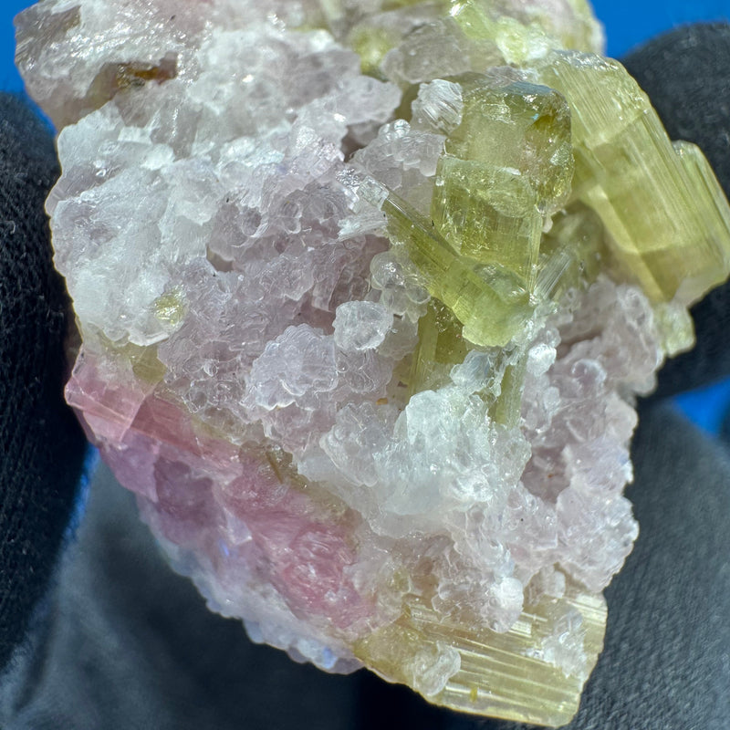 Watermelon Tourmaline Specimen - 41g