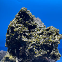 Epidoite Specimen - 283g