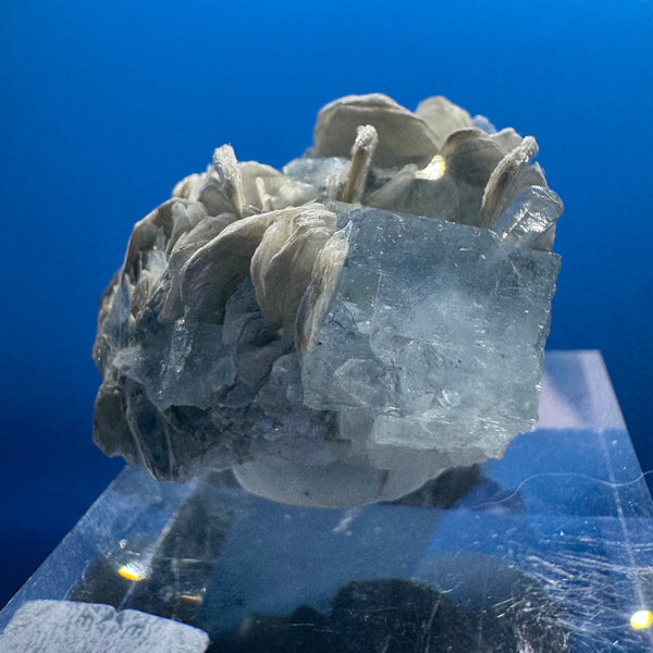 Aquamarine Crystal - 26g