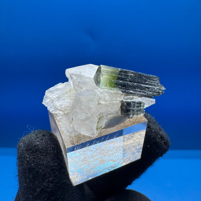 Greencap Tourmaline Specimen - 7g