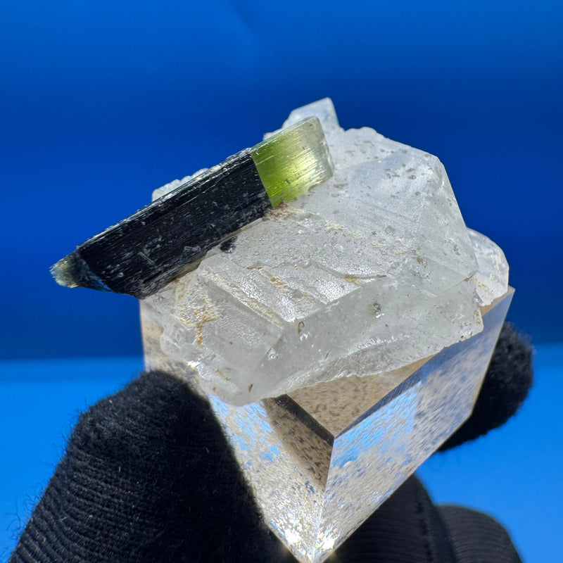 Greencap Tourmaline Specimen - 7g