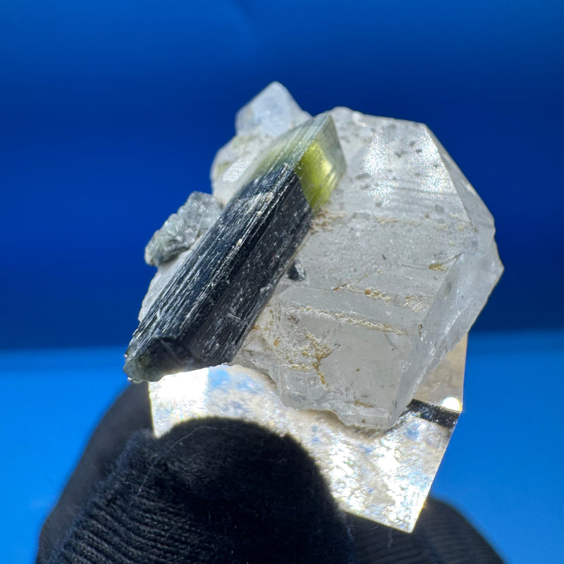 Greencap Tourmaline Specimen - 7g