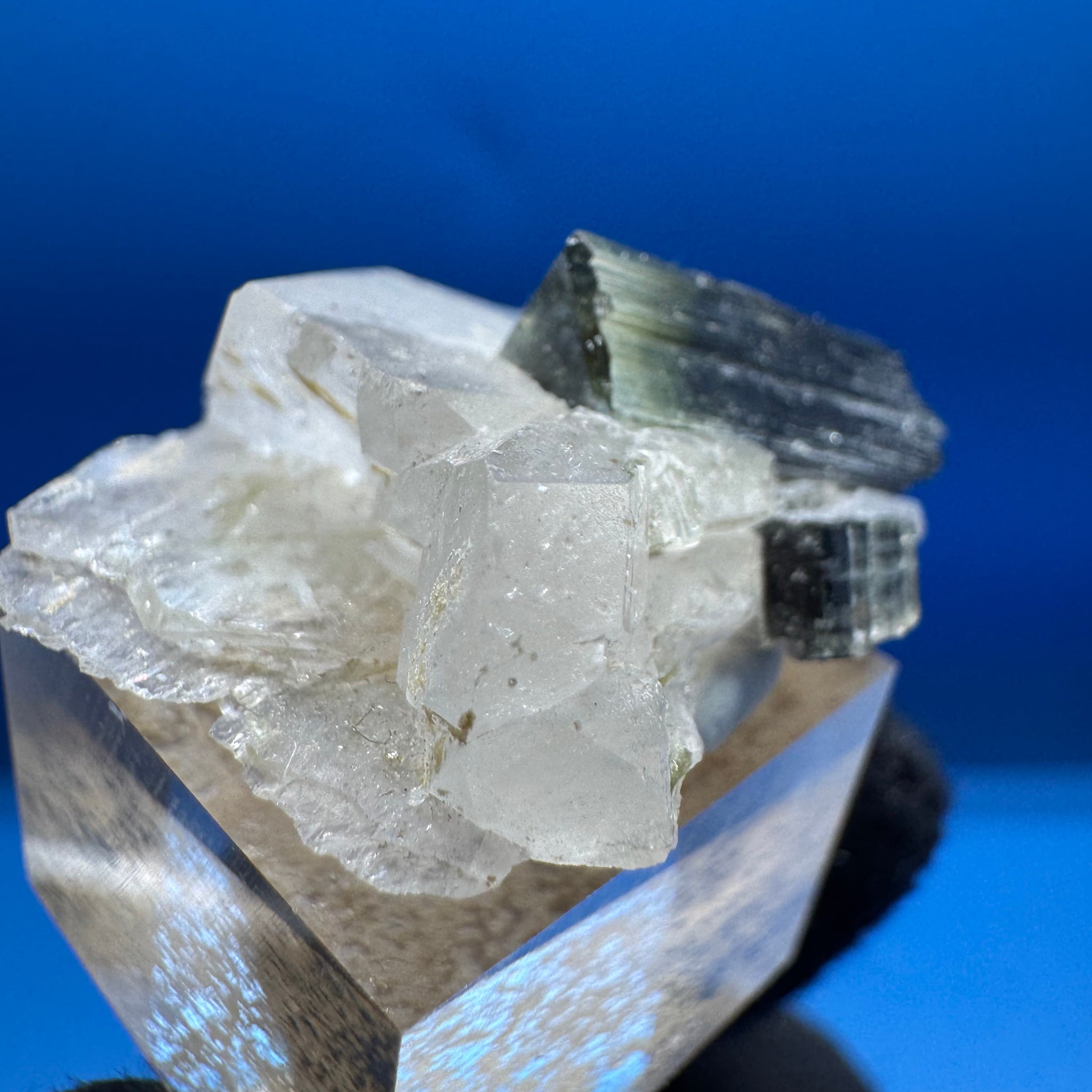 Greencap Tourmaline Specimen - 7g