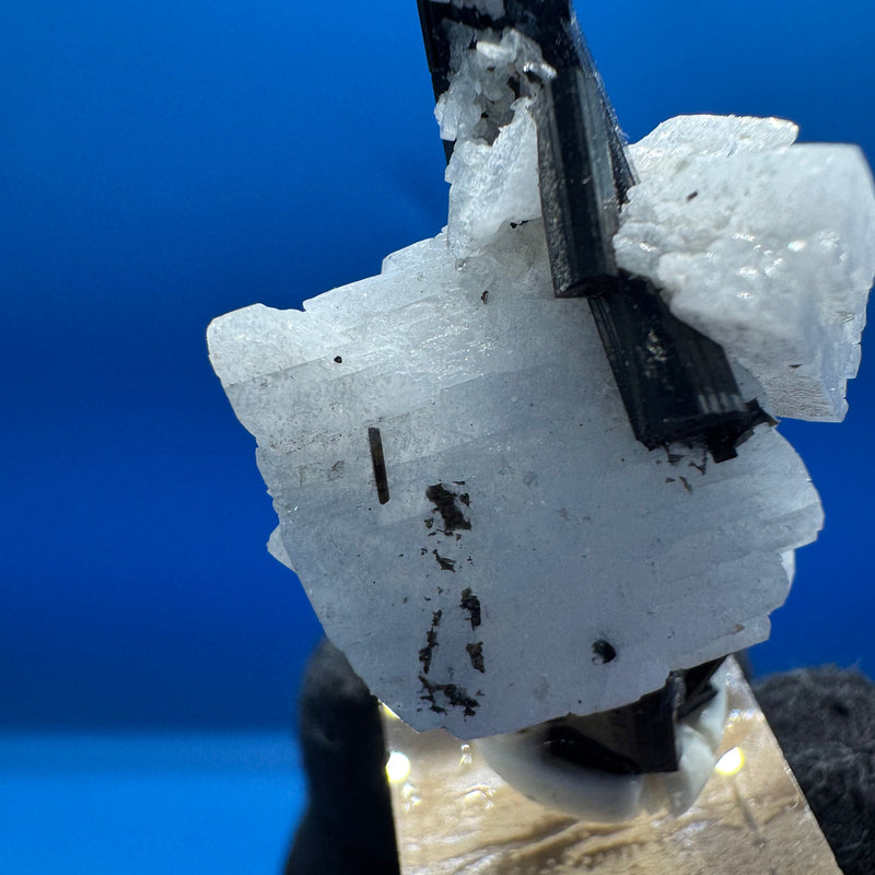 Tourmaline and Feldspar Specimen - 21g