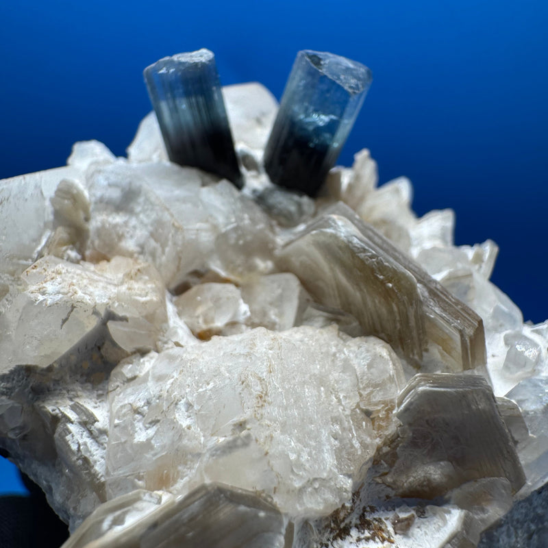 Blue Cap Tourmaline Speicmen - 102g