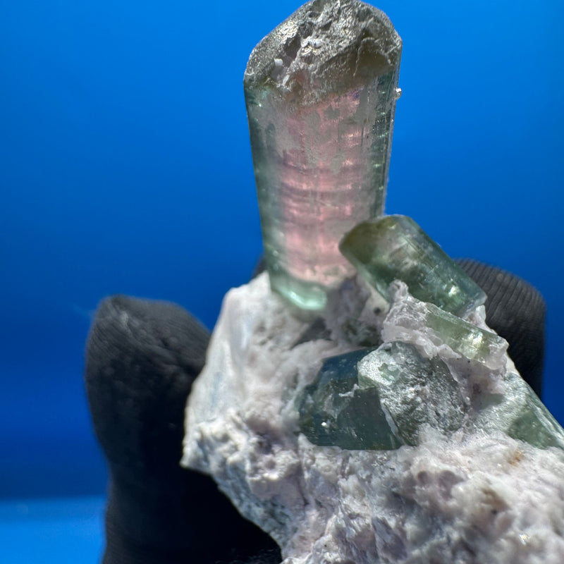 Watermelon Tourmaline Specimen - 34g