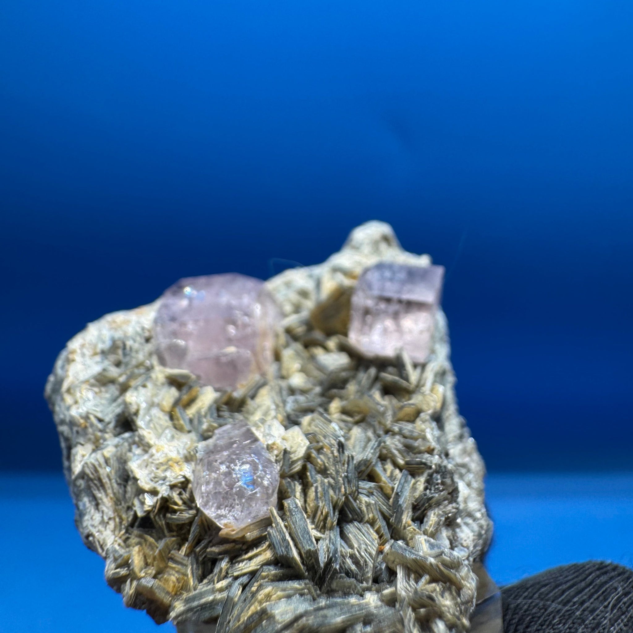 Pink Apetite Specimen - 36g