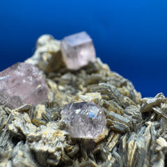 Pink Apetite Specimen - 36g