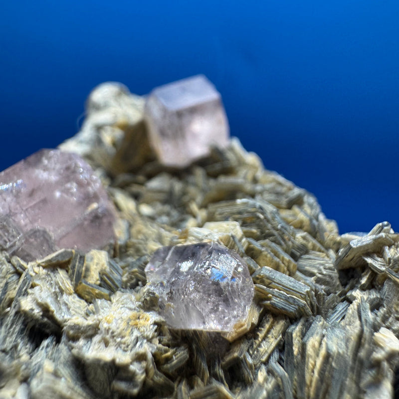 Pink Apetite Specimen - 36g