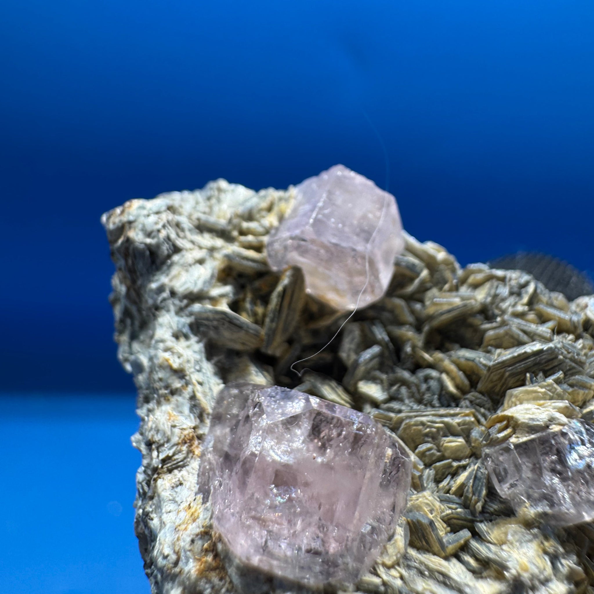 Pink Apetite Specimen - 36g