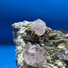 Pink Apetite Specimen - 36g