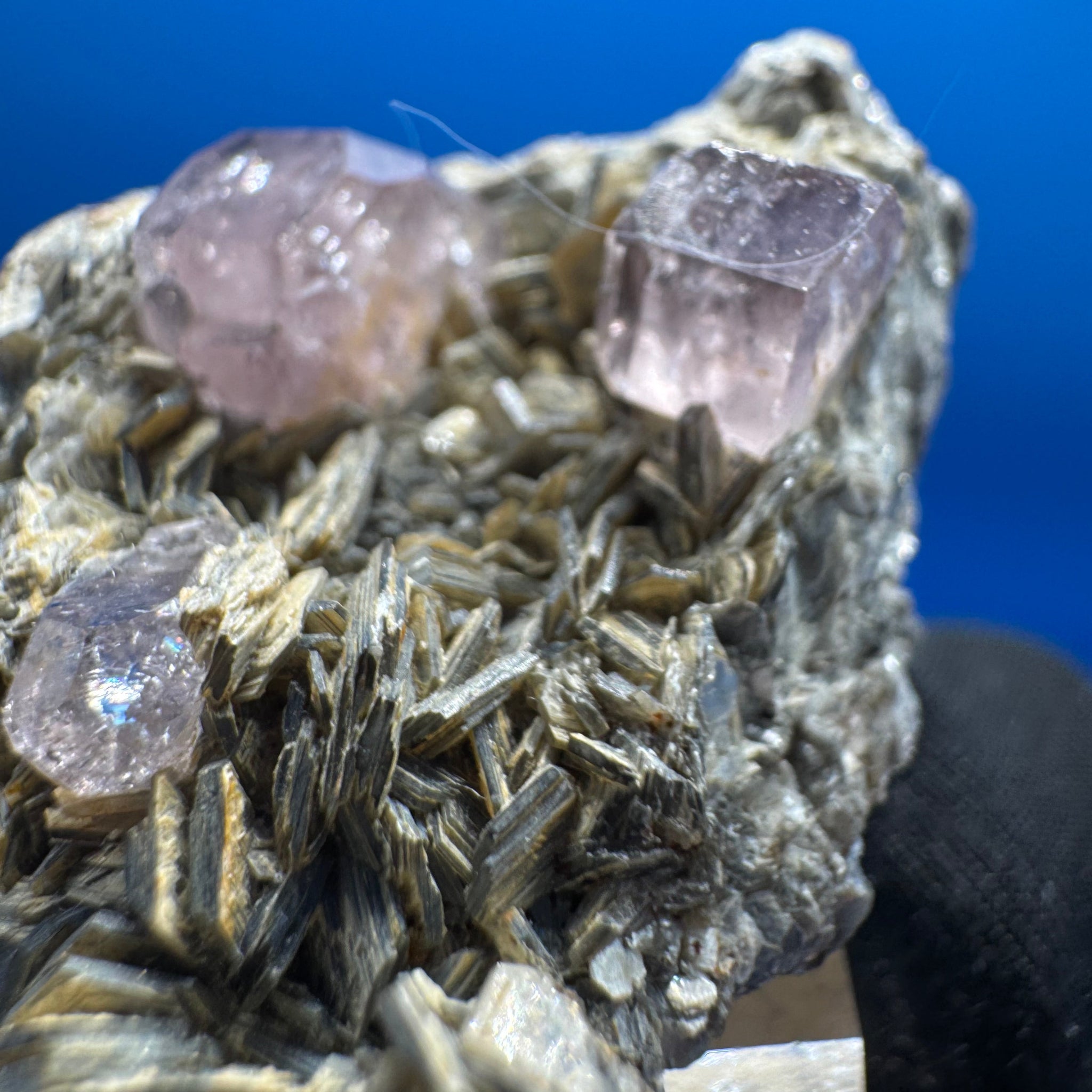 Pink Apetite Specimen - 36g