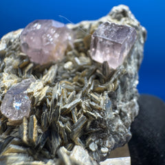 Pink Apetite Specimen - 36g