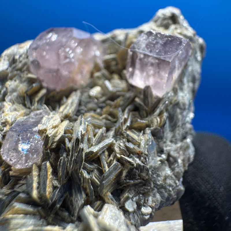 Pink Apetite Specimen - 36g