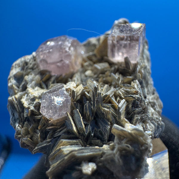 Pink Apetite Specimen - 36g