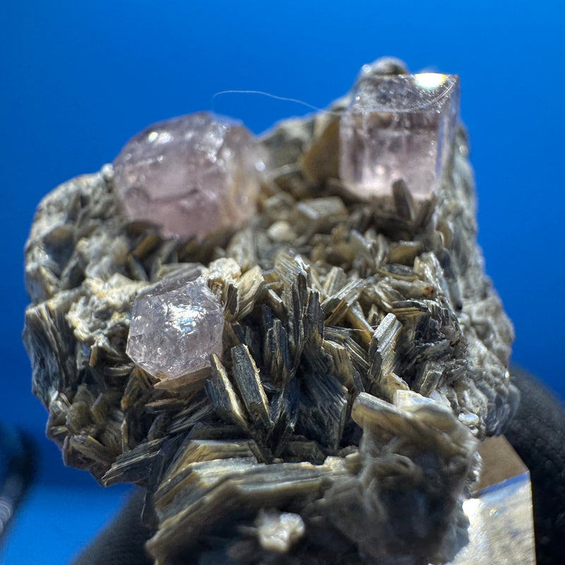 Pink Apetite Specimen - 36g