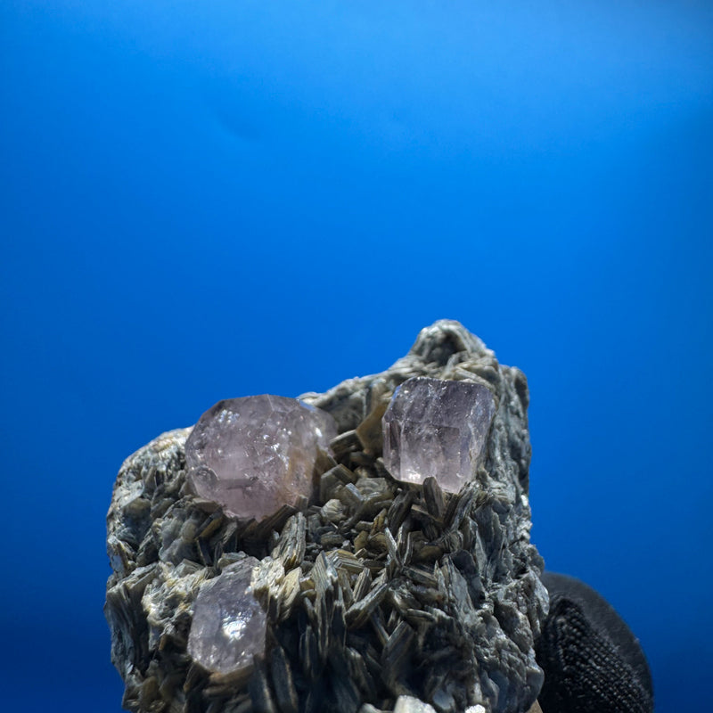 Pink Apetite Specimen - 36g