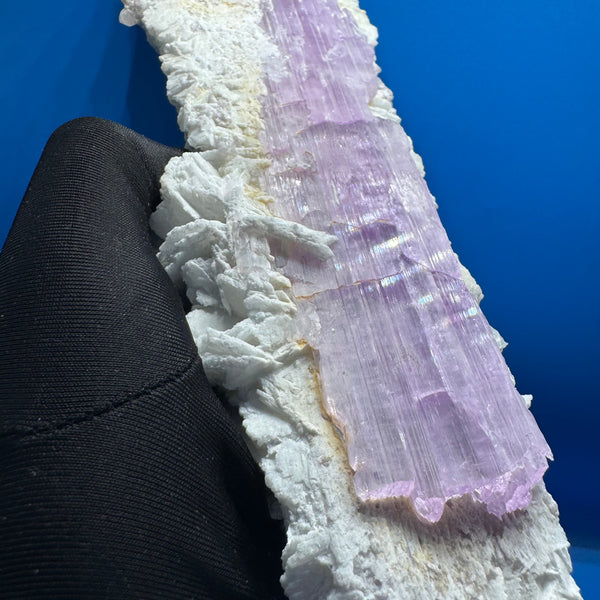 Kunzite on Clevelandite Specimen - 1063g