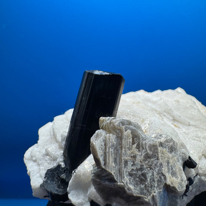 Black Tourmaline Specimen - 218g