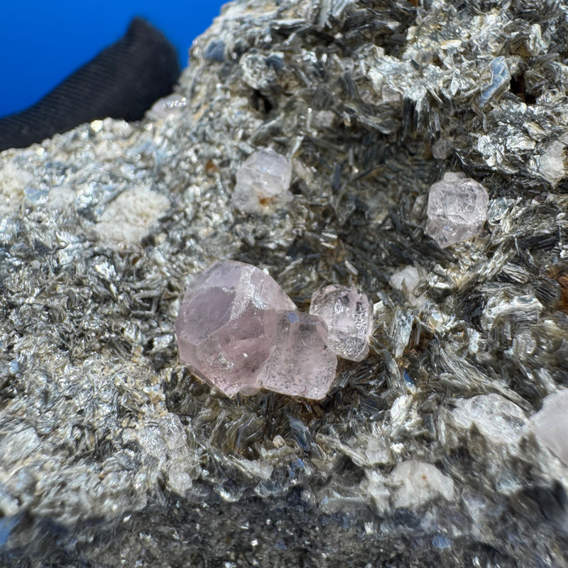 Pink Appetite Specimen - 245g