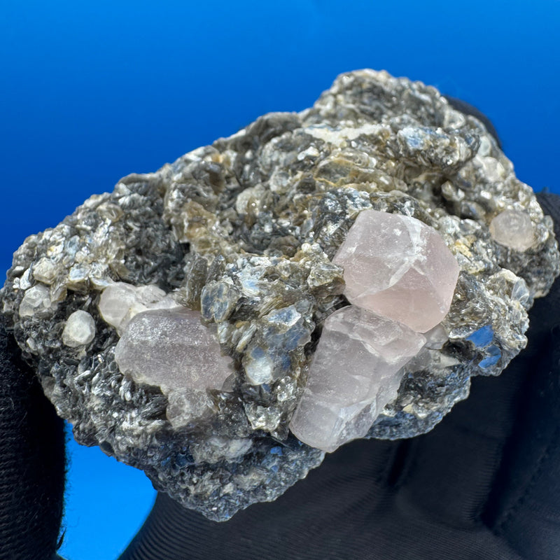 Pink Appetite Specimen - 125g