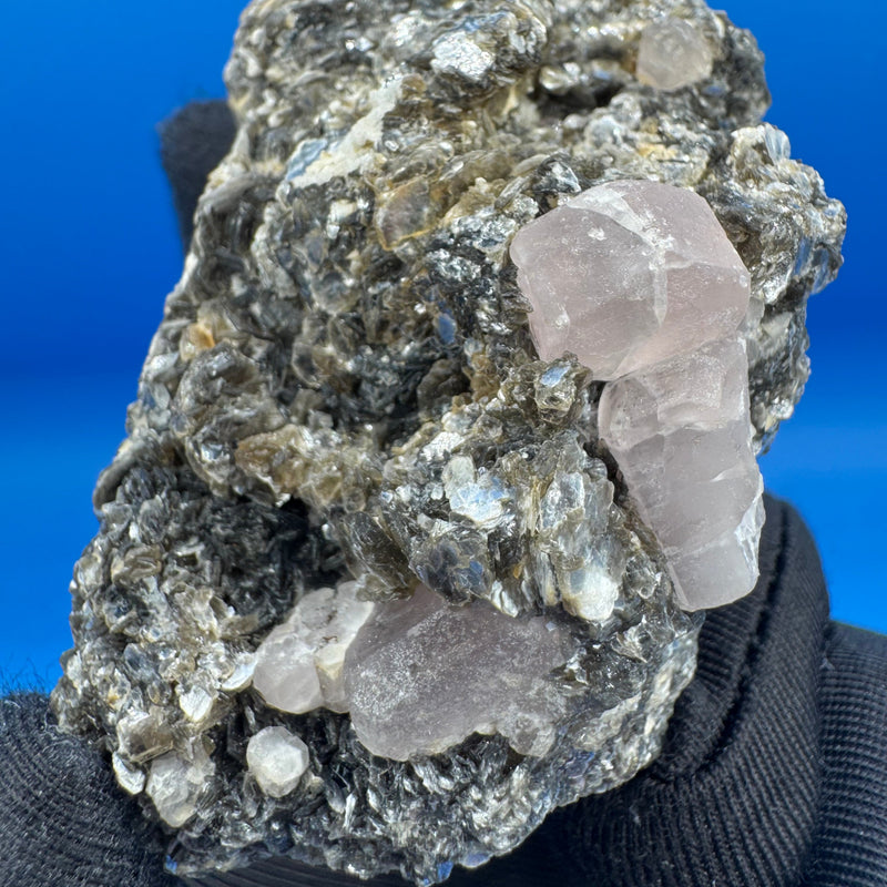Pink Appetite Specimen - 125g