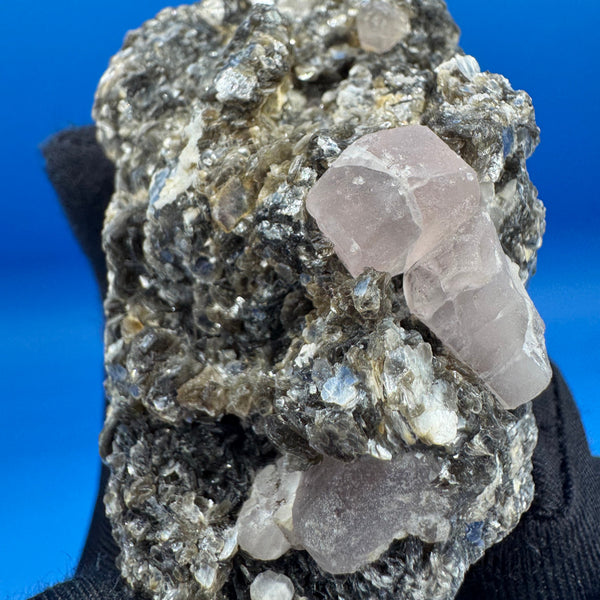 Pink Appetite Specimen - 125g