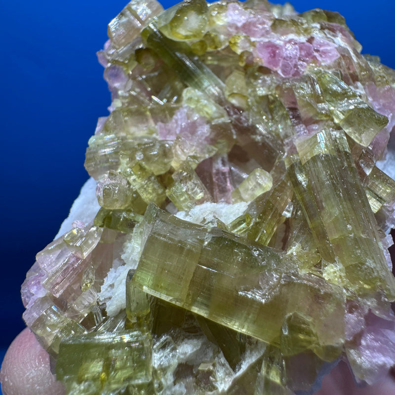 Watermelon Tourmaline Specimen - 227g