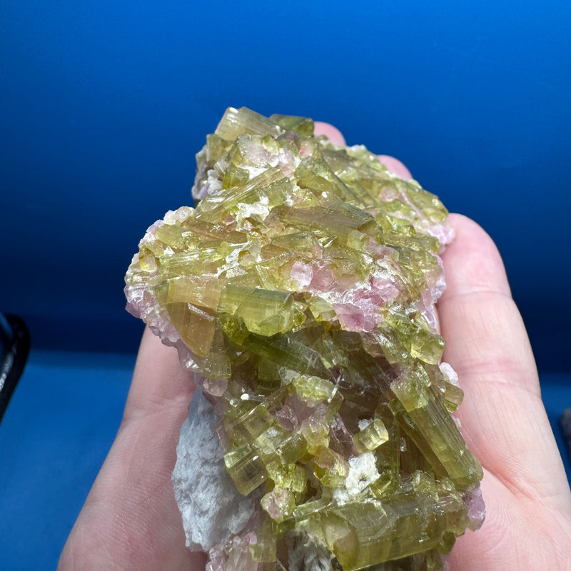 Watermelon Tourmaline Specimen - 227g