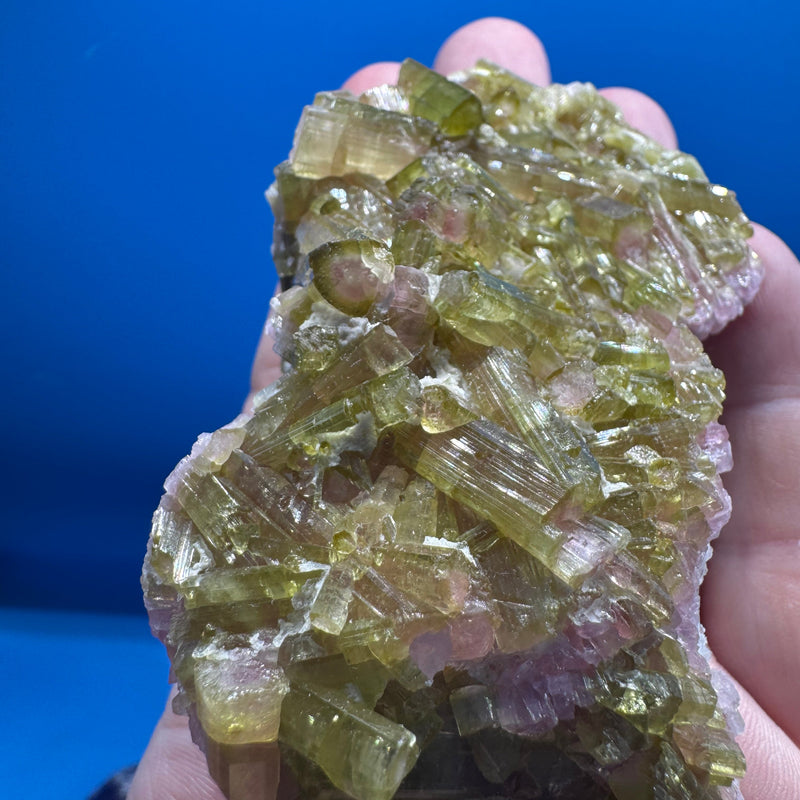 Watermelon Tourmaline Specimen - 227g
