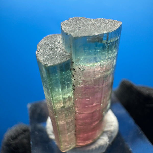 Watermelon Tourmaline Crystal - 4g