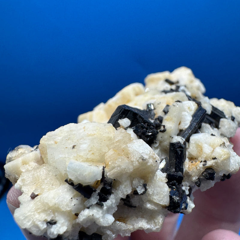 Black Tourmaline  - 64g
