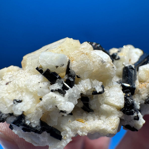 Black Tourmaline  - 64g