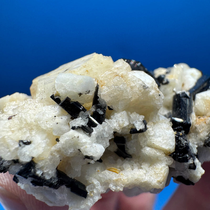 Black Tourmaline  - 64g
