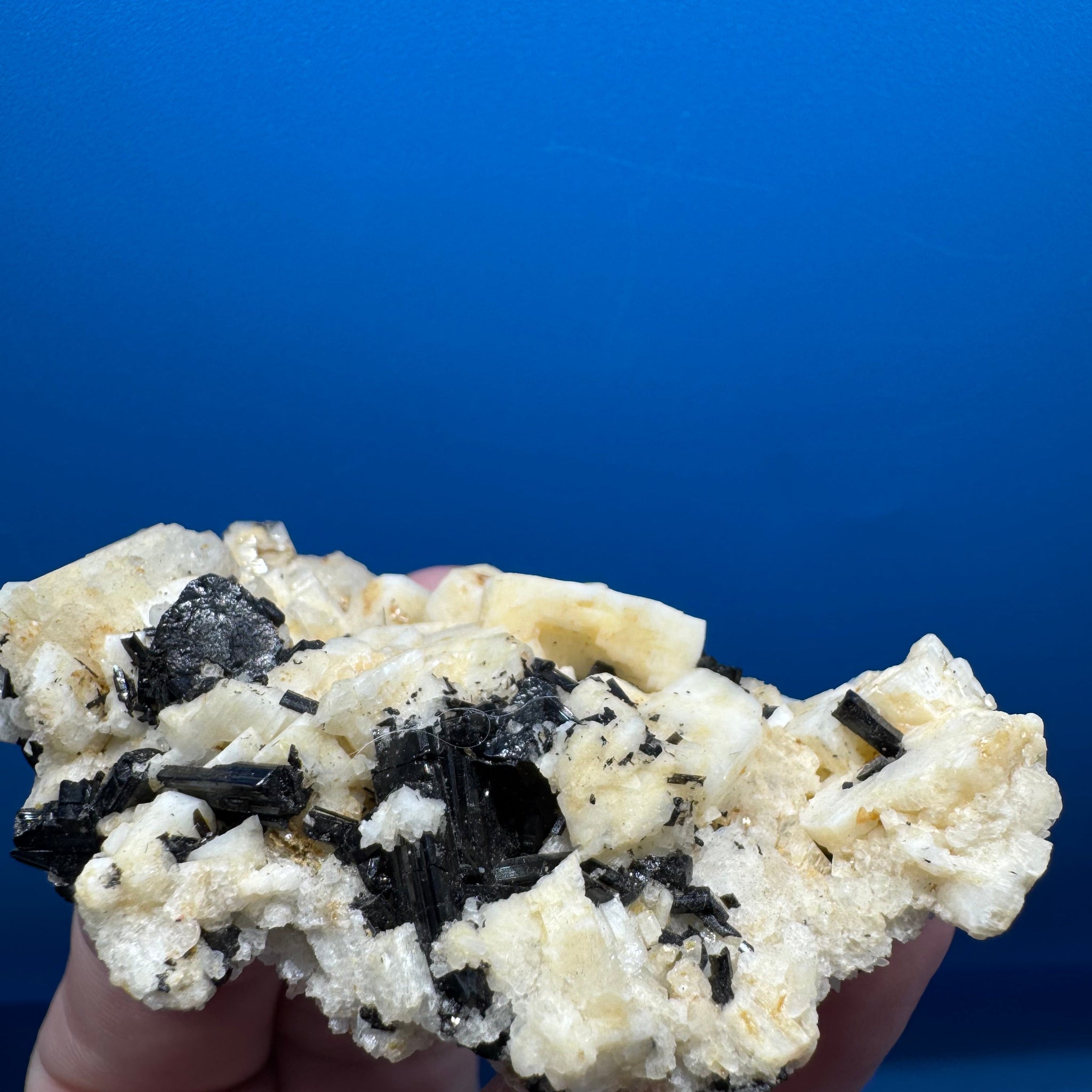 Black Tourmaline  - 64g