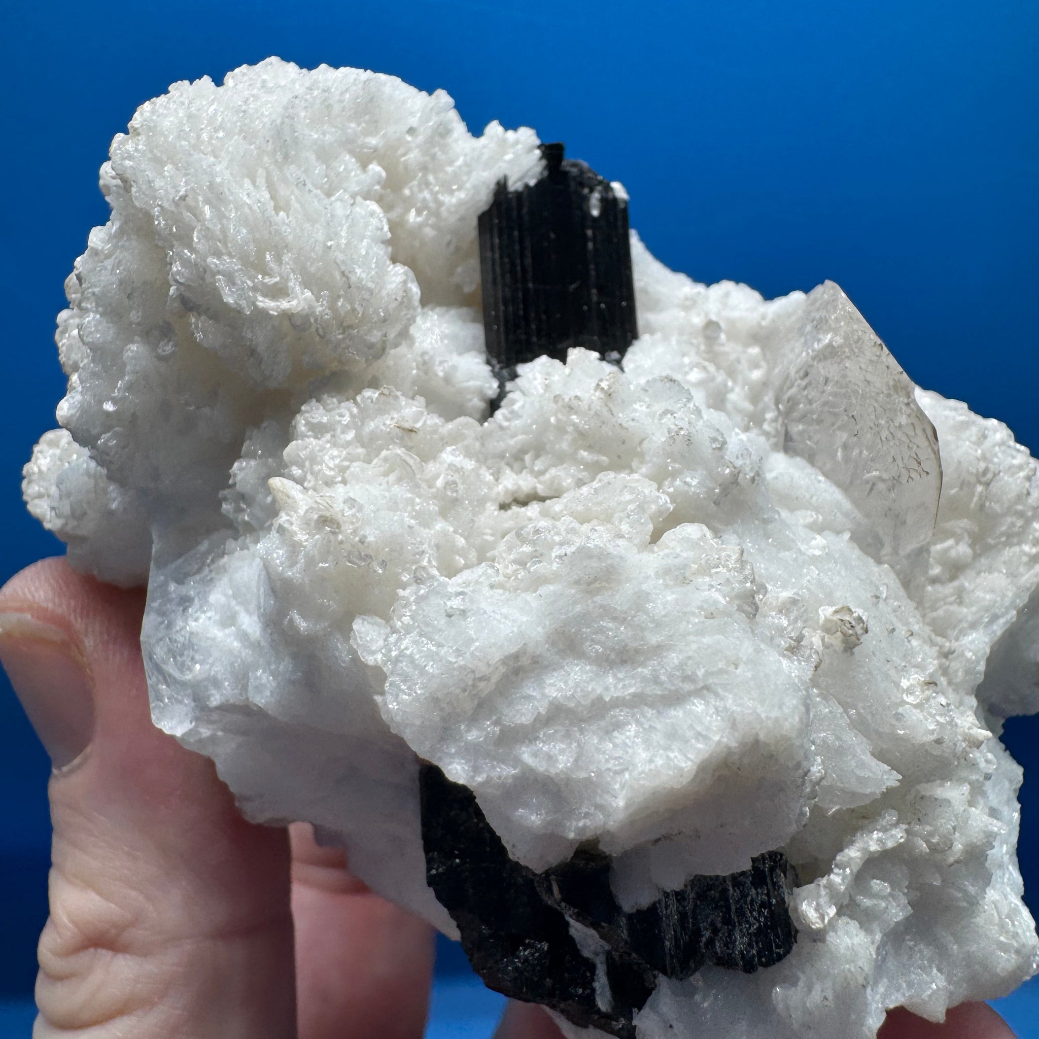 Black Tourmaline Specimen - 477g