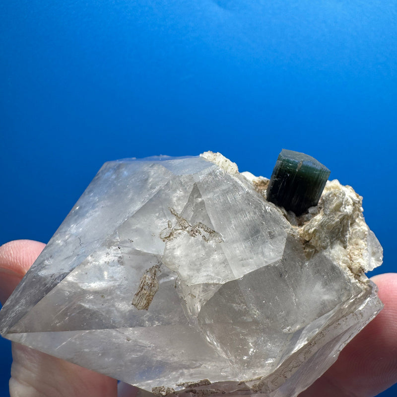 Tourmaline on Quartz Specimen - 171g