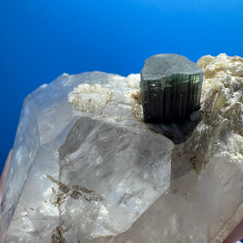 Tourmaline on Quartz Specimen - 171g