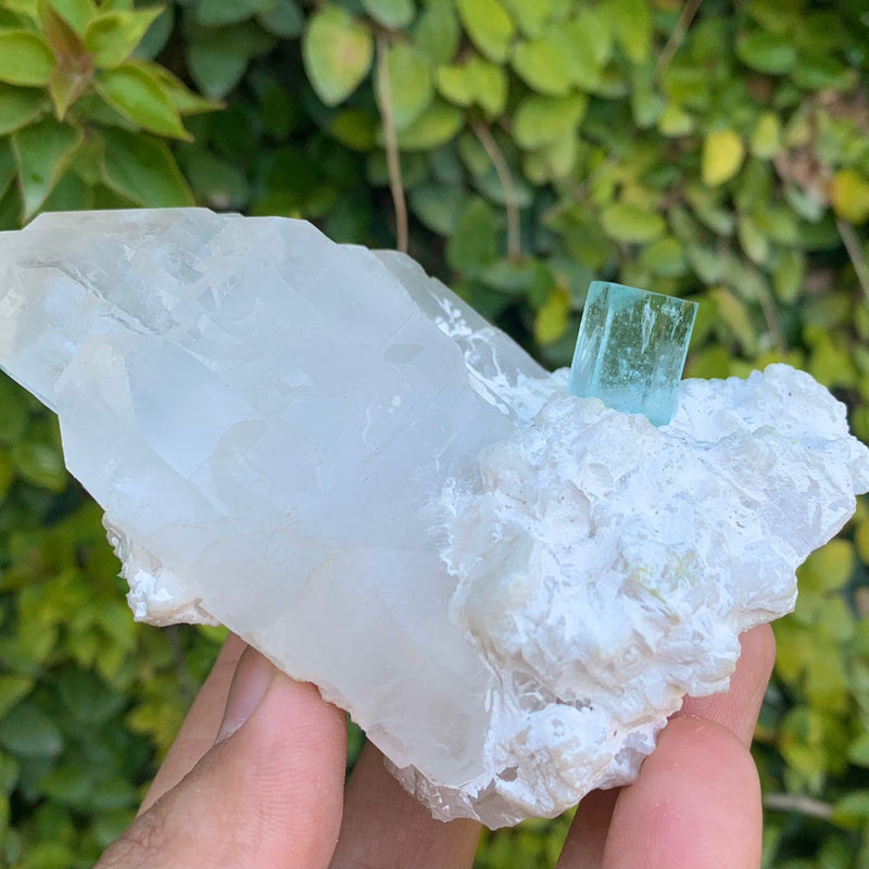 Aquamarine Specimen - 445g