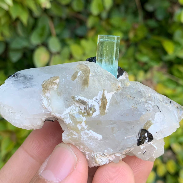 Aquamarine Specimen - 88g