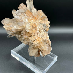 Smoky Quartz Cluster - 503g